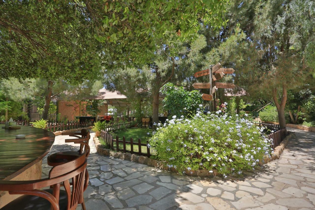 אל סלט Mountain Breeze Lodge & Resort מראה חיצוני תמונה